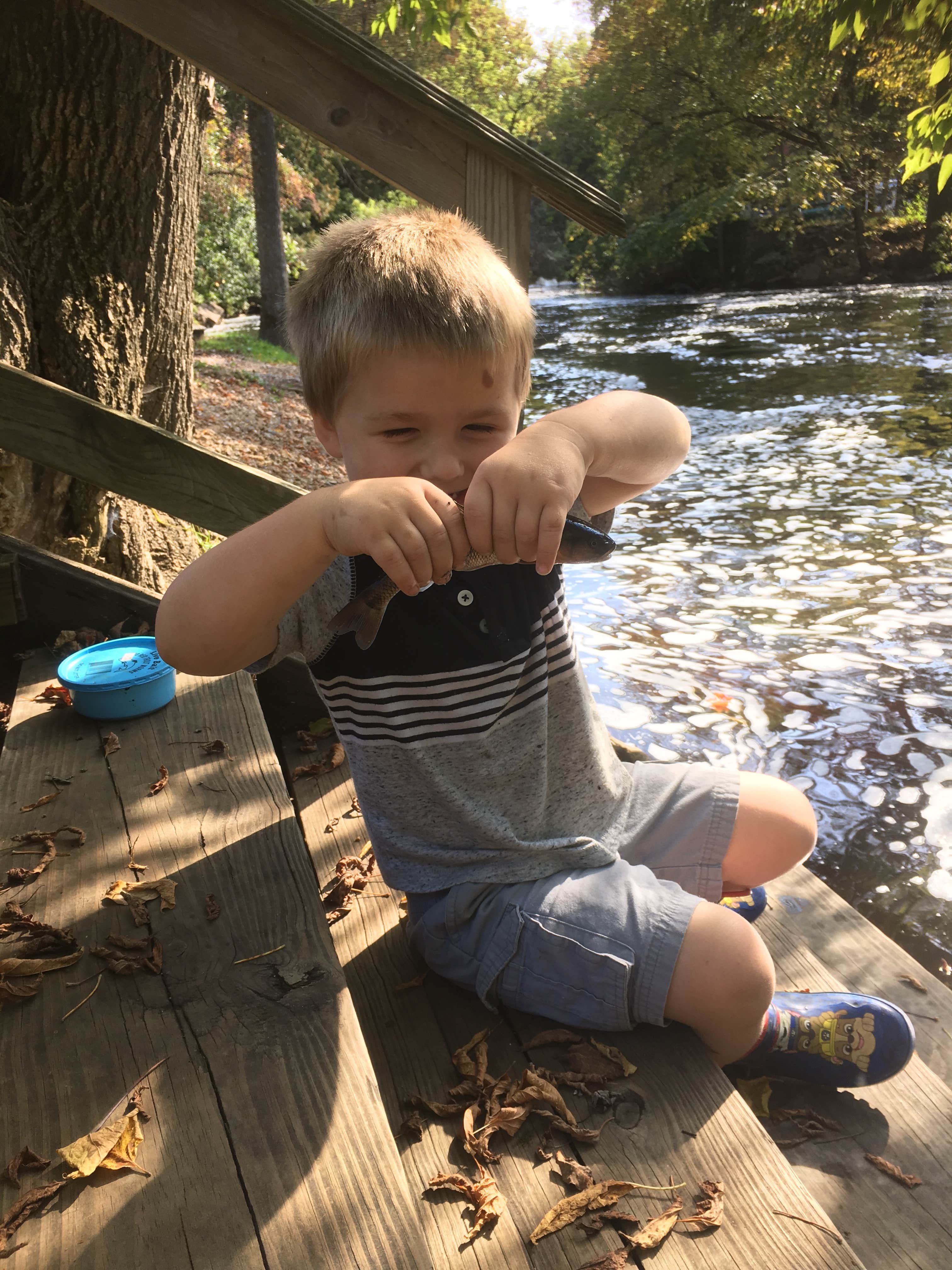 Camper-submitted photo at Tilleda Falls Campground near Nelsonville, WI