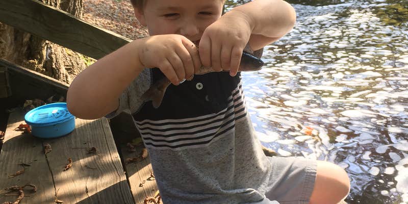 Camper submitted image from Tilleda Falls Campground