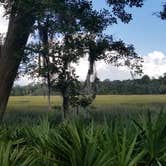 Review photo of Skidaway Island State Park Campground by L O., November 14, 2020