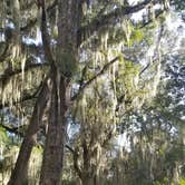 Review photo of Skidaway Island State Park Campground by L O., November 14, 2020