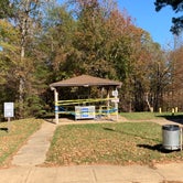 Review photo of Teckville Campground by Steve G., November 15, 2020