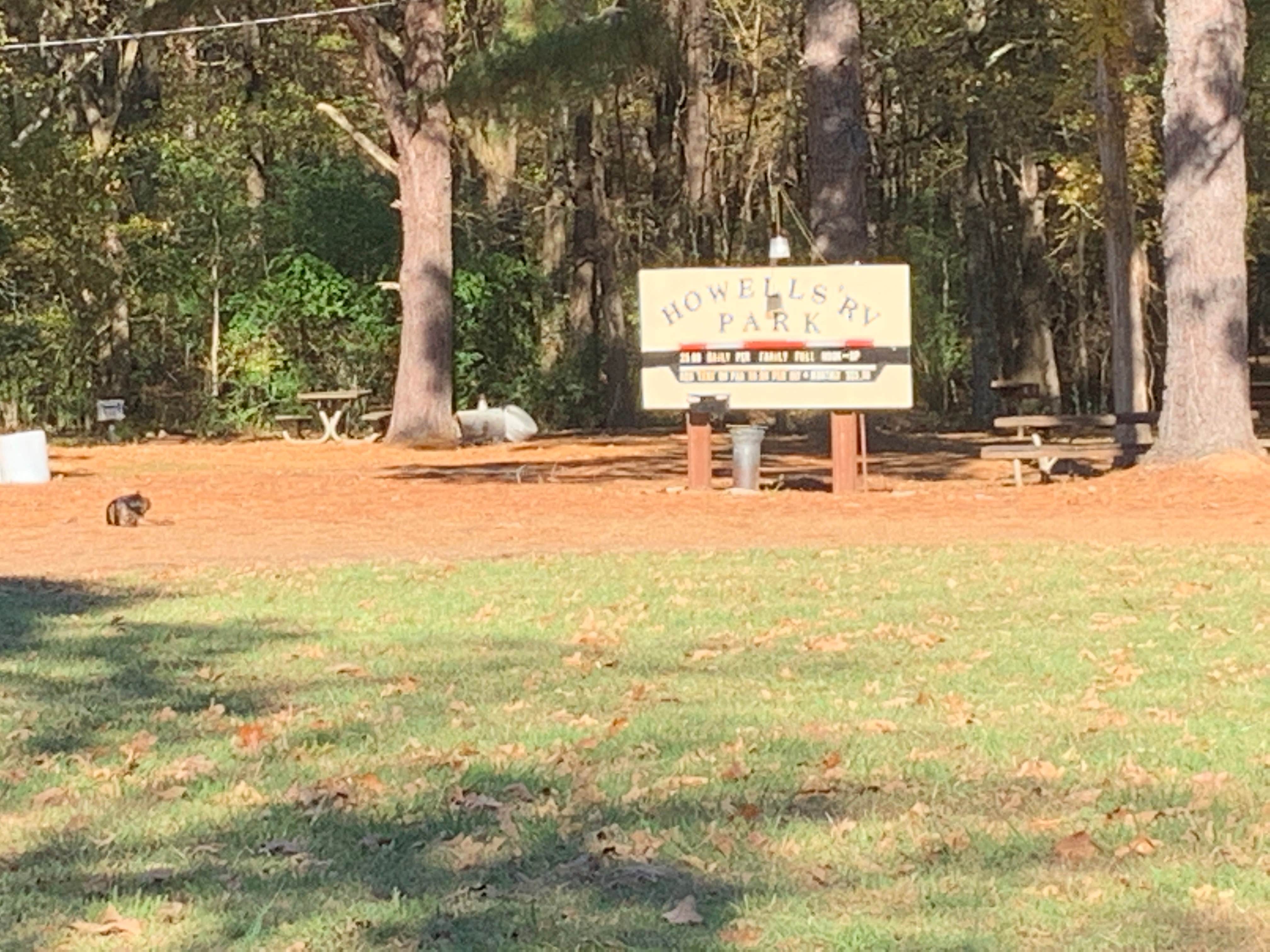 Camping near Cox Lake: Teckville Campground, University, Mississippi