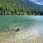 Review photo of Colonial Creek South Campground — Ross Lake National Recreation Area by Shelly S., November 15, 2020