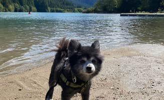 Shelly S.'s photo of camping with pets at Colonial Creek South Campground — Ross Lake National Recreation Area near Lake Chelan National Recreation Area