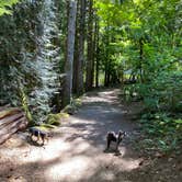 Review photo of Colonial Creek South Campground — Ross Lake National Recreation Area by Shelly S., November 15, 2020