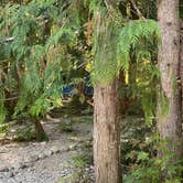 Review photo of Colonial Creek North Campground — Ross Lake National Recreation Area by Shelly S., November 15, 2020