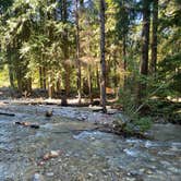 Review photo of Colonial Creek North Campground — Ross Lake National Recreation Area by Shelly S., November 15, 2020