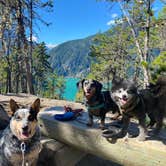 Review photo of Colonial Creek North Campground — Ross Lake National Recreation Area by Shelly S., November 15, 2020