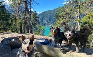 Shelly S.'s photo of camping with pets at Colonial Creek North Campground — Ross Lake National Recreation Area near Marblemount, WA