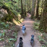 Review photo of Colonial Creek North Campground — Ross Lake National Recreation Area by Shelly S., November 15, 2020