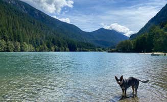 Shelly S.'s photo of camping with pets at Colonial Creek North Campground — Ross Lake National Recreation Area near Rockport, WA