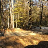 Review photo of Deerlick Creek by Scott A., November 15, 2020