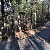 Review photo of Deerlick Creek by Scott A., November 15, 2020