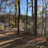 Review photo of Deerlick Creek by Scott A., November 15, 2020