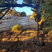 Review photo of Rocky Peak Campground by Eric P., November 15, 2020