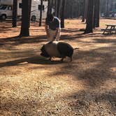 Review photo of Paradise Ranch RV Resort by Abraham H., November 14, 2020