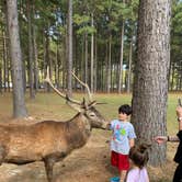 Review photo of Paradise Ranch RV Resort by Abraham H., November 14, 2020
