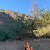 Review photo of Sycamore Canyon Campground — Point Mugu State Park by Sam & Amy inc.  L., November 16, 2020
