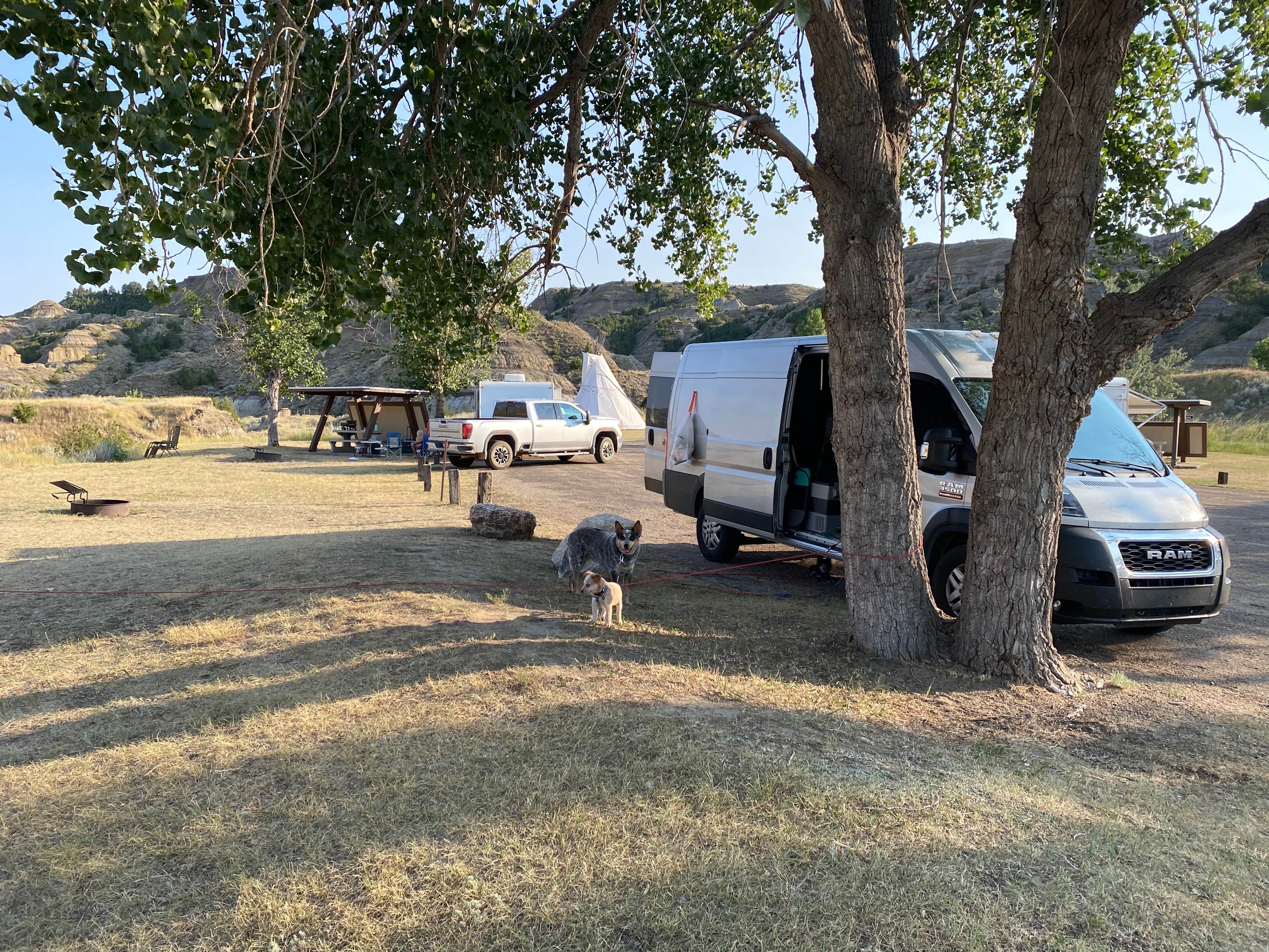Shelly S.'s photo of camping with pets at Makoshika State Park Campground in Montana