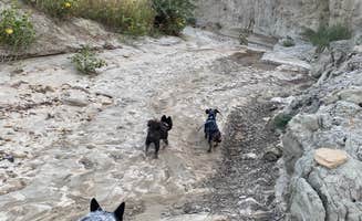Shelly S.'s photo of camping with pets at Makoshika State Park Campground near Sentinel Butte, ND