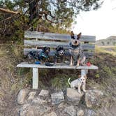 Review photo of Makoshika State Park Campground by Shelly S., November 16, 2020