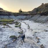 Review photo of Makoshika State Park Campground by Shelly S., November 16, 2020