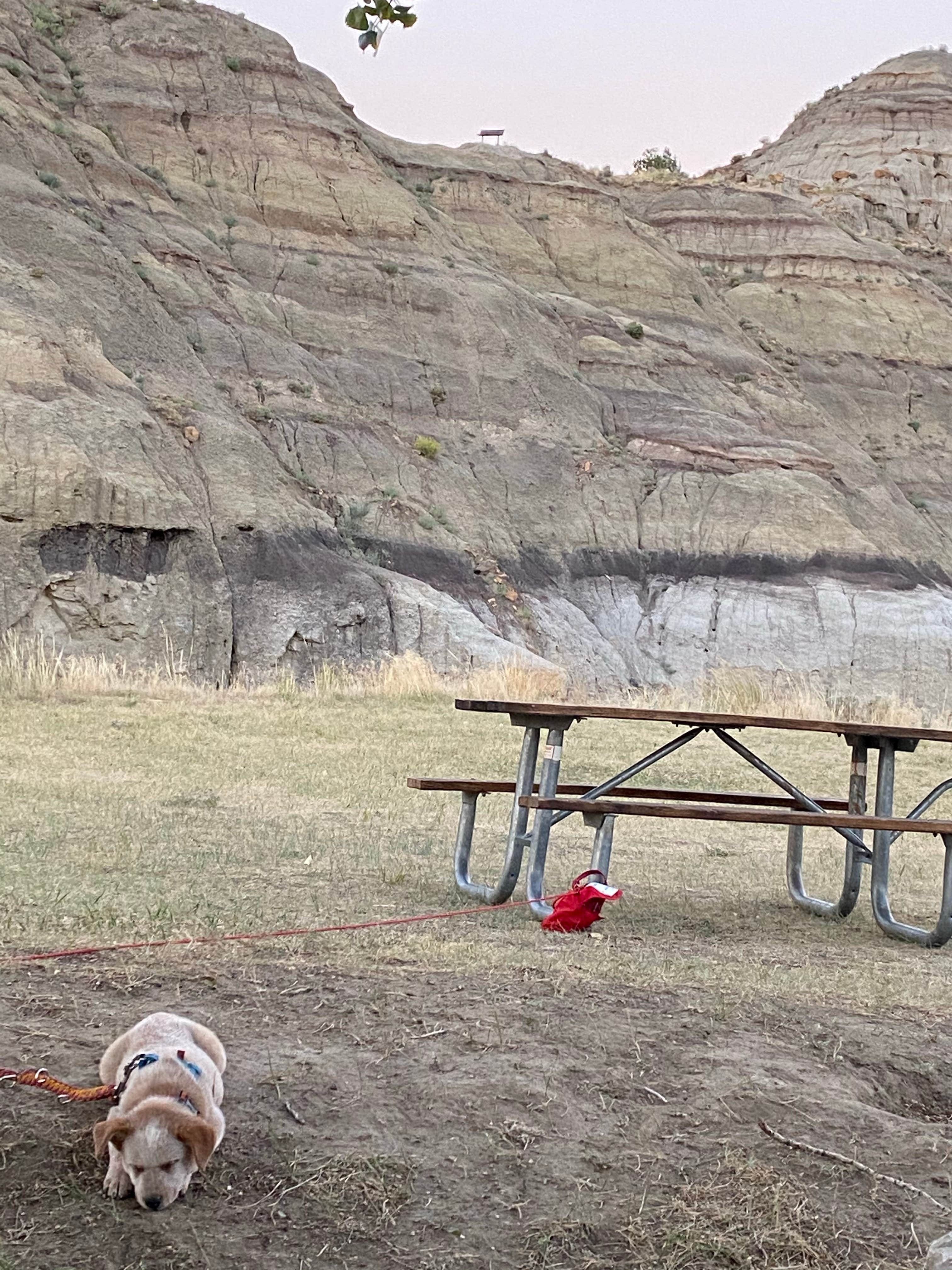 Shelly S.'s photo of camping with pets at Makoshika State Park Campground near Sentinel Butte, ND