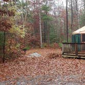 Review photo of Shawme Crowell State Forest by Jean C., November 16, 2020