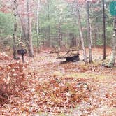 Review photo of Shawme Crowell State Forest by Jean C., November 16, 2020