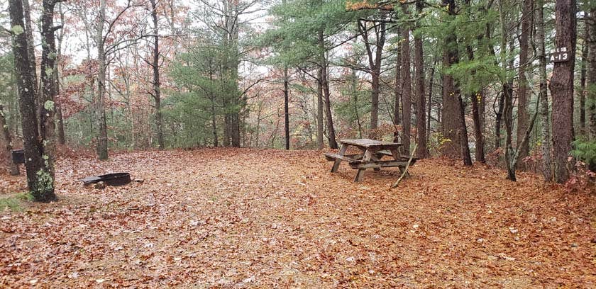 Shawme Crowell State Forest Campground