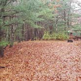 Review photo of Shawme Crowell State Forest by Jean C., November 16, 2020