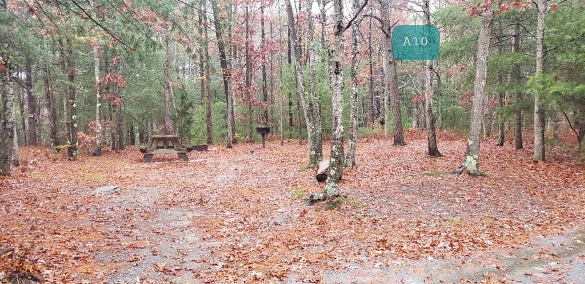 Shawme Crowell State Forest Campground