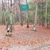 Review photo of Shawme Crowell State Forest by Jean C., November 16, 2020