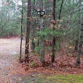 Review photo of Shawme Crowell State Forest by Jean C., November 16, 2020