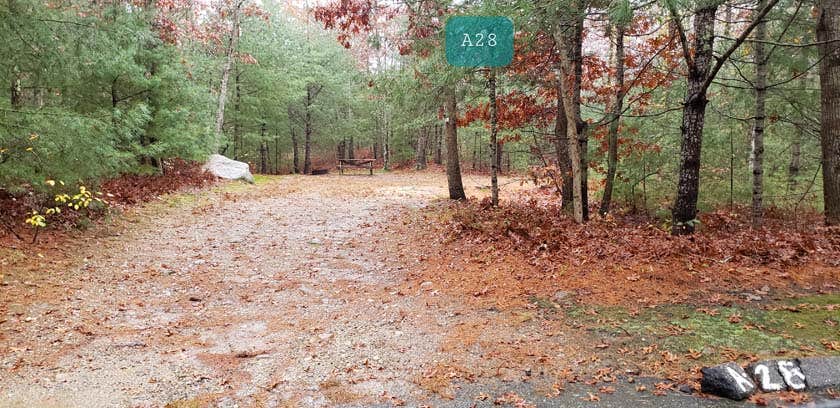 Jean C.'s photo at Shawme Crowell State Forest Campground near Osterville, MA