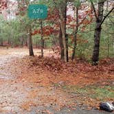 Review photo of Shawme Crowell State Forest by Jean C., November 16, 2020