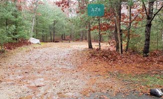 Jean C.'s photo at Shawme Crowell State Forest Campground near Cataumet, MA