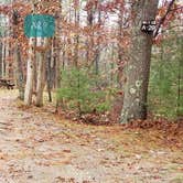 Review photo of Shawme Crowell State Forest by Jean C., November 16, 2020