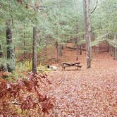 Review photo of Shawme Crowell State Forest by Jean C., November 16, 2020