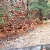 Review photo of Shawme Crowell State Forest by Jean C., November 16, 2020