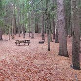 Review photo of Shawme Crowell State Forest by Jean C., November 16, 2020