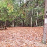 Review photo of Shawme Crowell State Forest by Jean C., November 16, 2020