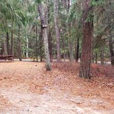 Review photo of Shawme Crowell State Forest by Jean C., November 16, 2020