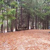 Review photo of Shawme Crowell State Forest by Jean C., November 16, 2020