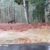 Review photo of Shawme Crowell State Forest by Jean C., November 16, 2020