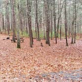 Review photo of Shawme Crowell State Forest by Jean C., November 16, 2020