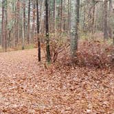 Review photo of Shawme Crowell State Forest by Jean C., November 16, 2020