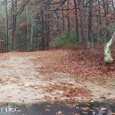 Review photo of Shawme Crowell State Forest by Jean C., November 16, 2020