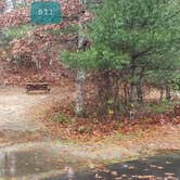 Review photo of Shawme Crowell State Forest by Jean C., November 16, 2020