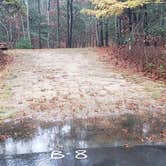 Review photo of Shawme Crowell State Forest by Jean C., November 16, 2020